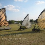 Butterfly Bicycles