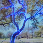 Laser Mapping Tree