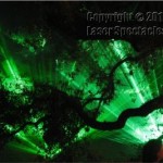 Lasers Oak Tree