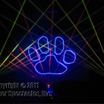 Laser Paw